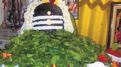 மார்கழி சோம வாரம்... பிரதோஷம்... சிவ தரிசனம்! 