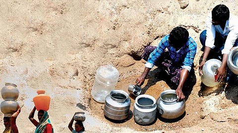 வறட்சியிலிருந்து இந்தியா பாடம் கற்றிருக்கிறதா?