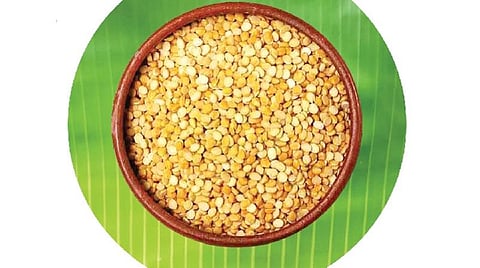 ஆங்கிலப் புத்தாண்டு 2020 பொதுப் பலன்: விருச்சிகம்