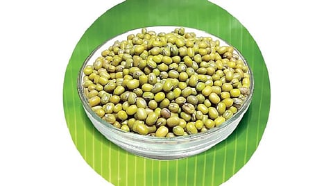 ஆங்கிலப் புத்தாண்டு 2020 பொதுப் பலன்: கன்னி