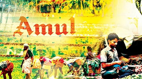 இந்திய வேளாண்மை: கொள்கைகள் அல்ல கட்டமைப்பே சரியான தீர்வு!