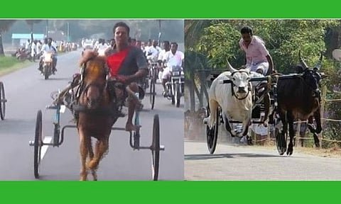 நாகை, திருக்கடையூர் ரேக்ளா ரேஸுக்கு உயர் நீதிமன்றம் தடை 