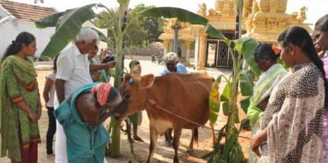 மகராசன் பொங்கல்