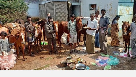 மலைகிராம மக்களின் நன்றி உணர்ச்சி: திண்டுக்கல் சிறுமலையில் களைகட்டிய குதிரைப்பொங்கல்