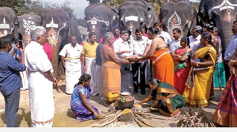 மேட்டுப்பாளையம் நல வாழ்வு முகாமில் ‘யானைப் பொங்கல்’ கொண்டாட்டம்