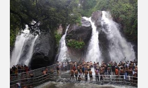 கேரளாவின் தென்மலா போன்று கொடைக்கானல், கல்லார், கருமந்துறை, தேவாலா, குற்றாலத்தில் சூழல் சுற்றுலா