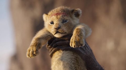 டிஸ்னியின் ரீமேக்குகள் என்னைக் குழப்பமடையச் செய்கின்றன: பிரபல இயக்குநர் வருத்தம்