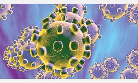 சென்னை கிங் இன்ஸ்டிடியூட் உட்பட நாடு முழுவதும் 10 இடங்களில் கரோனா வைரஸ் பரிசோதனை: மத்திய அரசின் அனுமதியுடன் தடுப்பு நடவடிக்கைகள் தீவிரம்