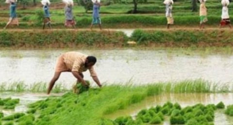பிரதிநிதித்துவப் படம்.