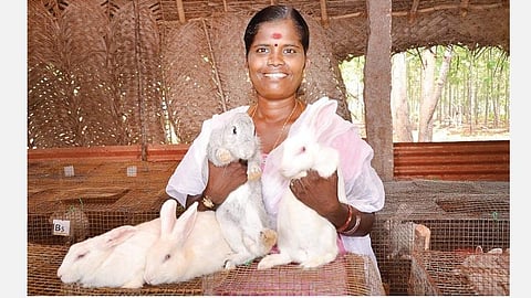வானவில் பெண்கள்: முயலால் கிடைத்த முன்னேற்றம்