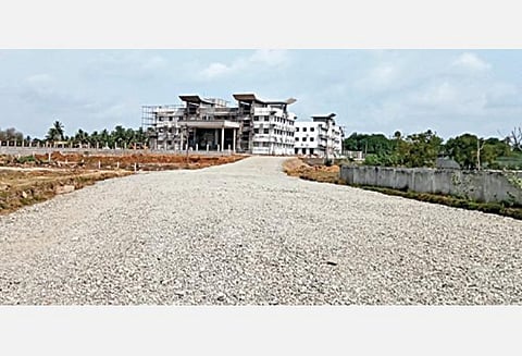 சாலை வசதிக்காக மரங்கள் அழிக்கப்பட்ட இடம். படங்கள்: பெ.ஜேம்ஸ்குமார்