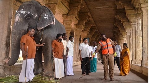 கரோனா தடுப்பு நடவடிக்கை: நெல்லையில் கோயில்கள், ரயில்,பேருந்து நிலையங்களில் கிருமி நாசினி தெளிப்பு