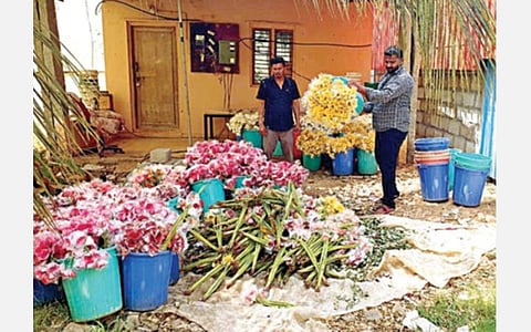 கோவிட்-19 வைரஸ் காரணமாக ஏற்றுமதி பாதிக்கப்பட்டுள்ளதால், ஓசூரில் தேங்கியுள்ள கொய்மலர்கள்.