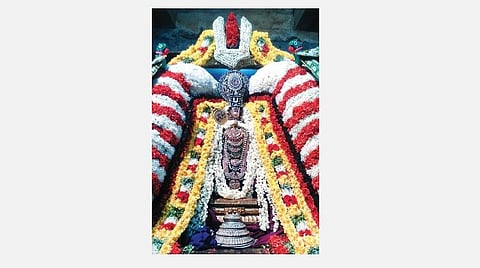 81 ரத்தினங்கள் 38: அவனுரைக்கப் பெற்றேனோ திருகச்சியாரைப் போலே