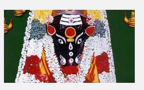  தீயசக்தியை விரட்டும் வாராஹி;  வீட்டில் இருந்தே வழிபடும் எளிய முறைகள்! 