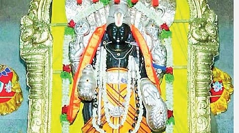ஆயில்ய நட்சத்திரக்காரர்களுக்கு இப்படியெல்லாம் குணங்களா? ;  ஆயில்யக்காரர்களின் தெய்வங்கள், விருட்சங்கள்!  - 27 நட்சத்திரங்கள் - ஏ டூ இஸட் தகவல்கள் 27; 