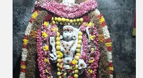 தீய சக்தியை விரட்டும் தேய்பிறை அஷ்டமி!  தெருநாய்களுக்கு பிஸ்கட் வழங்குங்கள்! 