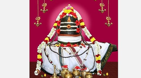 சார்வரி ஆண்டு; மகர ராசிக்காரர்களே! சாதனையின் உச்சம், வேலையில் முக்கியத்துவம், வியாபார வளர்ச்சி, இனி நஷ்டமில்லை! - 12 மாதங்களுக்கான ஏ டூ இஸட் பலன்கள்! 