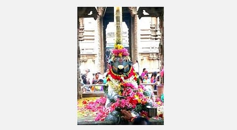 வீட்டிலிருந்தே பிரதோஷ தரிசனம் -  தெய்வம் அருகில் உண்டென்று உணர்வோம்! 