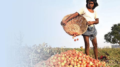 வேளாண்மை வீழ்ந்திடாமல் தடுக்க கொள்முதலுக்கும் சந்தைக்கும் அரசு பொறுப்பேற்கட்டும்