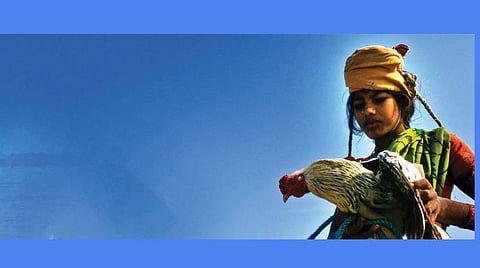 வானம் தனது நீல நிறத்தை மீட்டுக்கொண்டது!