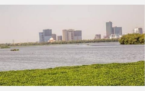 ஊரடங்கால் தொழிற்சாலைகள் முடக்கம்: யமுனையில் ஆக்ஸிஜன் அளவு 33% உயர்வு