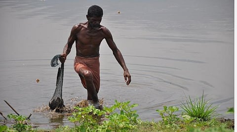 தமிழக பகுதியில் வாளையாறு அணையில் மீன்பிடிக்கும் ஒருவர்.