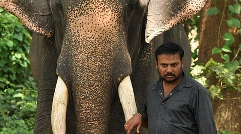 பிரபு சாலமன் பிறந்த நாள் ஸ்பெஷல்: மக்களின் மதிப்பைப் பெற்ற படைப்பாளி