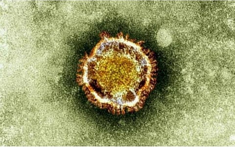 கரோனா வைரஸ்: மகன் உயிரிழந்த ஒரு வாரத்துக்குள் தந்தையும் உயிரிழந்த பரிதாபம்