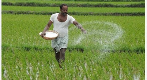 உரங்களை அதிக விலைக்கு விற்றால் உரிமம் ரத்து ; மதுரை மாவட்ட வேளாண் இணை இயக்குநர் தகவல்