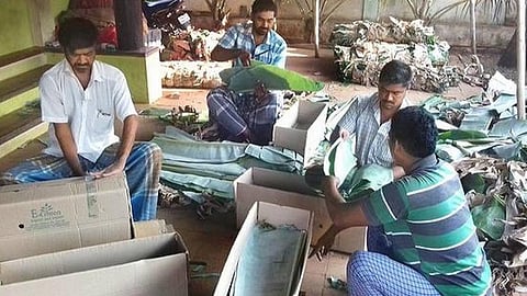 கடந்த ஆண்டு ரூ.2000, 3000; இந்த வருடம் ரூ.100, 150: திருவிழா,விஷேசம் இல்லாத சித்திரை, வைகாசியால் விலை இழந்த வாழை இலை