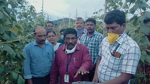 ஓசூர் மலைக்கிராமத்தில் வண்டுகளின் தாக்கத்தை கட்டுப்படுத்தும் வழிமுறைகள்: தோட்டக்கலை இணை இயக்குனர் செயல் விளக்கம்