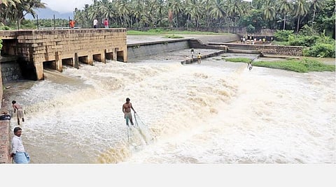 கன மழையால் நாகர்கோவில் பழையாறு தடுப்பணை வழியே கரைபுரண்டு ஓடும் வெள்ளம்.   படம்: எல்.மோகன்