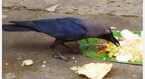 ஆனி அமாவாசை... சனிக்கிழமை... முன்னோர் வழிபாடு