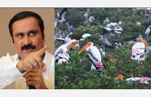வேடந்தாங்கல் சரணாலயப் பகுதியில் தொழிற்சாலைகளுக்கு அனுமதி; விசாரணை வேண்டும்:  தலைமைச் செயலாளருக்கு  அன்புமணி கடிதம்