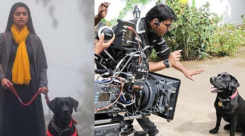 எல்லாக் காட்சிகளையும் ஒரே டேக்கில் நடித்த செல்ல நாய்; 'பெண்குயின்' இயக்குநர் பேட்டி