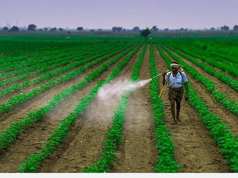 27 பூச்சிக்கொல்லிகளைத் தடை செய்ய வேண்டும்!