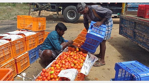 படங்கள்: ஜோதி ரவிசுகுமார்.