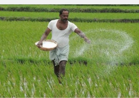 கரோனா ஊரடங்கிலும் பாதிக்காத விவசாயப் பணிகள்: ஏப்ரல் - ஜூன் மாதத்தில் உர விற்பனை 82.81 சதவீதம் அதிகம்
