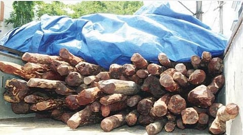 கோப்புப் படம்