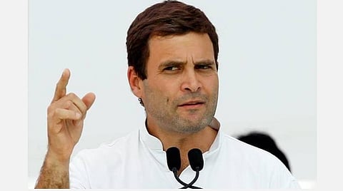 காங்கிரஸ் எம்.பி. ராகுல் காந்தி : கோப்புப்படம்