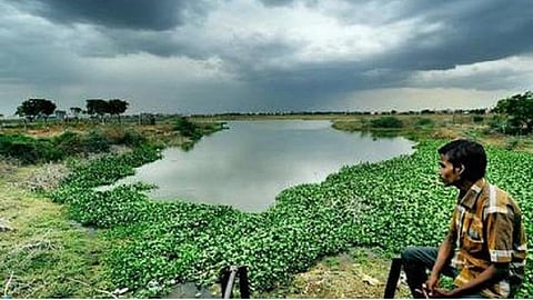 மழை பெய்தும் தண்ணீரைத் தேக்க முடியவில்லை: நவீன நீர்வழிச்சாலைத் திட்டம் என்னவானது?- நீர் ஆதார வல்லுநர்கள் கேள்வி 