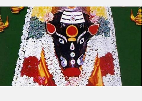 பஞ்சமி வழிபாடு; மாற்றமும் ஏற்றமும் தருவாள் வாராஹி! 