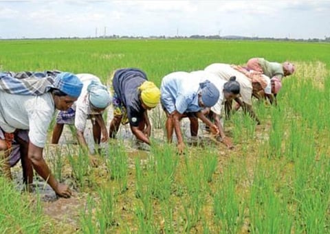 பிரதிநிதித்துவப் படம்