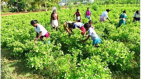 படங்கள்: எஸ்.கிருஷ்ணமூர்த்தி