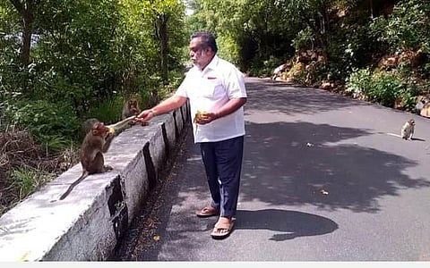 ஏலகிரி மலையில் குரங்களுக்கு உணவளித்த சமூக ஆர்வலர்கள்