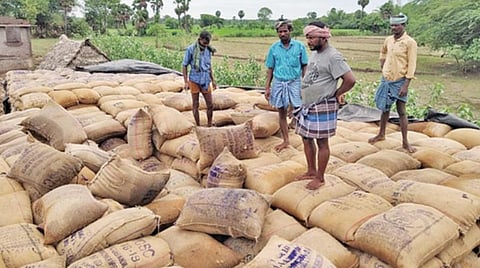 ﻿திருவாரூர், தஞ்சாவூர் மாவட்ட நேரடி கொள்முதல் நிலையங்களில் ﻿﻿மழையில் நனைந்து வீணாகும் நெல்மணிகள்: ﻿﻿உரிய நேரத்தில் கொள்முதல் செய்து, சேமிப்பு கிடங்குகளுக்கு எடுத்துச் செல்ல வலியுறுத்தல்
