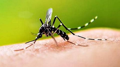 பிரதிநிதித்துவப் படம்