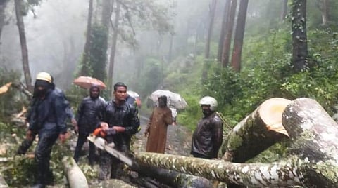 கூடலூர்-ஓவேலி சாலையில் மரம் விழுந்து போக்குவரத்து தடைப்பட்டது.