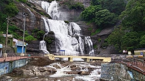 மேற்குத் தொடர்ச்சி மலைப் பகுதியில் பலத்த மழை: தென்காசி அணைகளில் நீர்மட்டம் கிடுகிடு உயர்வு
